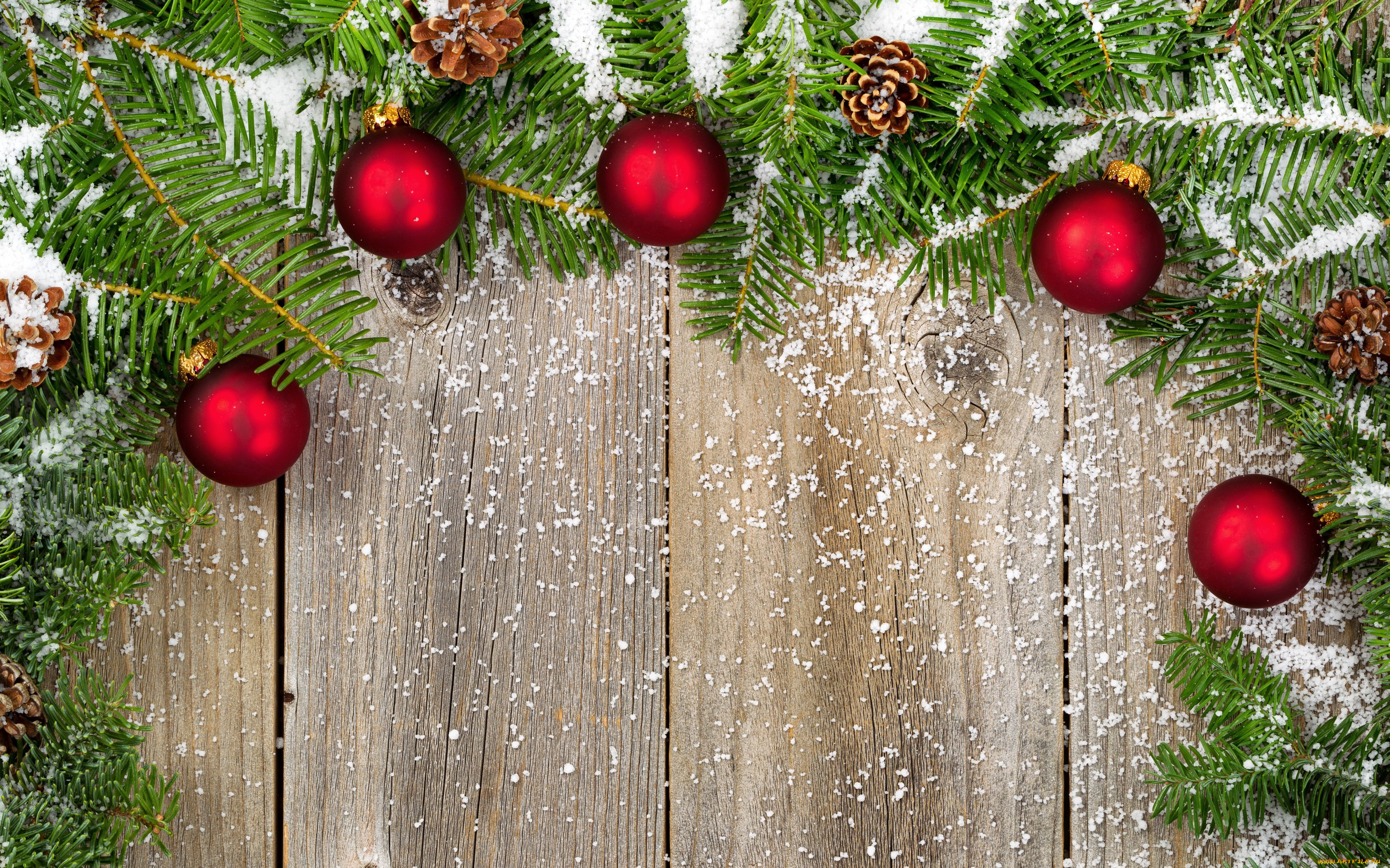 , , , , winter, new, year, spruce, decoration, , , 